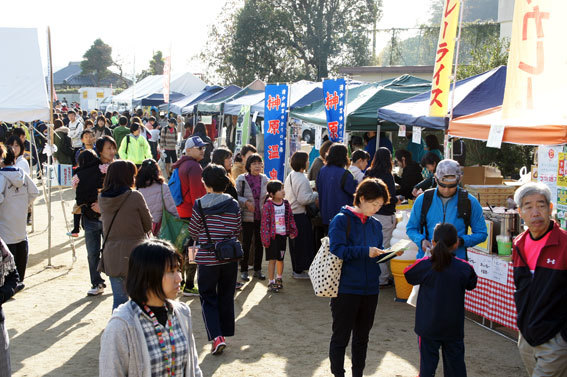 好天に恵まれたマラソン_b0145296_12471283.jpg