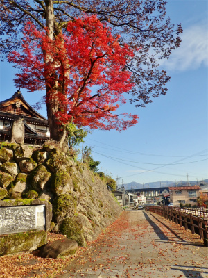会館周辺の紅葉_c0336902_18435587.jpg