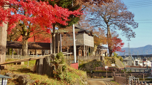 会館周辺の紅葉_c0336902_18441044.jpg