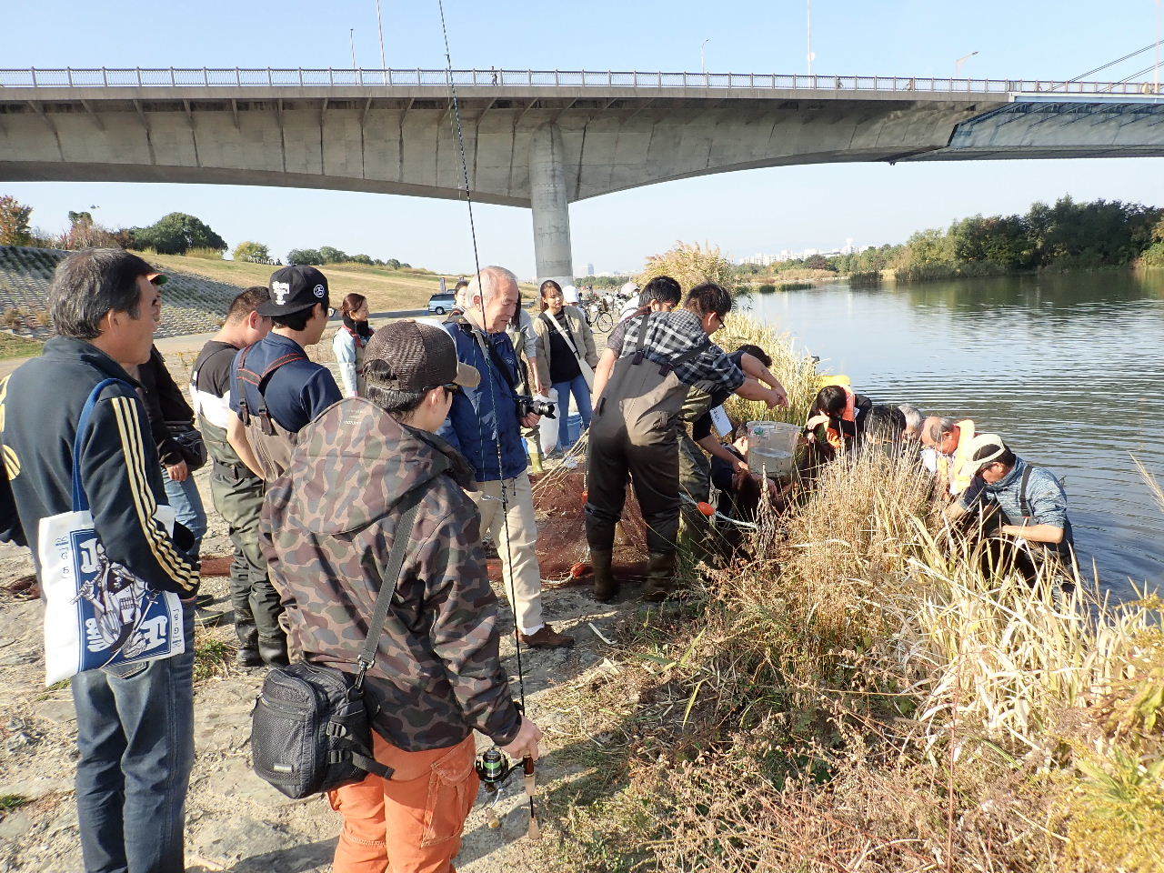 【ご報告】城北定例保全活動16_a0263106_09234663.jpg