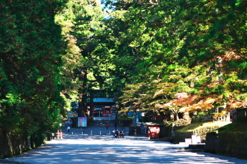 日光山　輪王寺と東照宮の秋の始まり1_a0263109_10441314.jpg