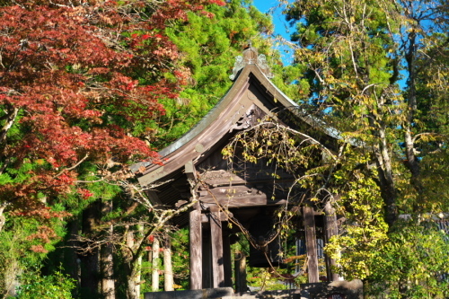 日光山　輪王寺と東照宮の秋の始まり1_a0263109_10441410.jpg