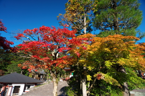 日光山　輪王寺と東照宮の秋の始まり1_a0263109_10441502.jpg