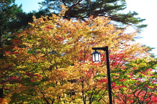 日光山　輪王寺と東照宮の秋の始まり1_a0263109_10445552.jpg