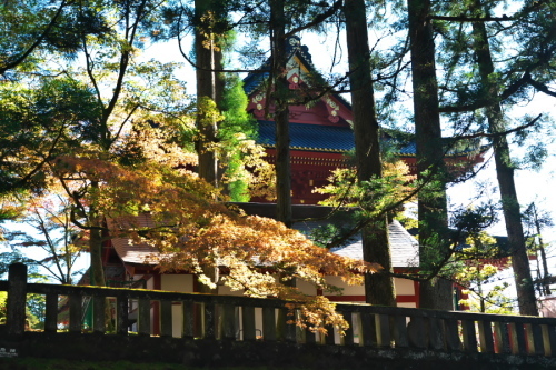 日光山　輪王寺と東照宮の秋の始まり1_a0263109_10445671.jpg