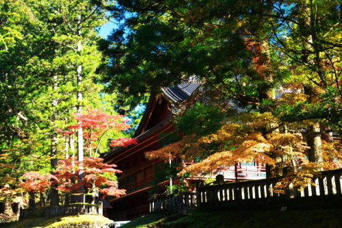 日光山　輪王寺と東照宮の秋の始まり1_a0263109_10445690.jpg