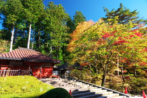 日光山　輪王寺と東照宮の秋の始まり1_a0263109_10452960.jpg