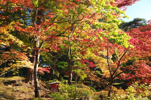 日光山　輪王寺と東照宮の秋の始まり1_a0263109_10453036.jpg