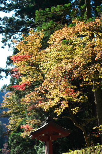 日光山　輪王寺と東照宮の秋の始まり1_a0263109_10531793.jpg