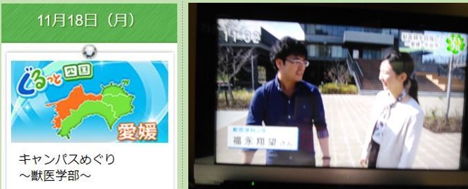 キャンバスめぐり 今治の岡山理科大学 獣医学部 19 11 18 徳ちゃん便り キャンバスめぐり 今治の岡山理科大学 獣医学部 19 11 18 徳ちゃん便り