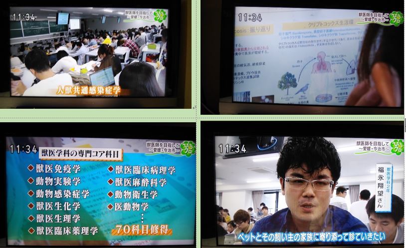 キャンバスめぐり 今治の岡山理科大学 獣医学部 19 11 18 徳ちゃん便り