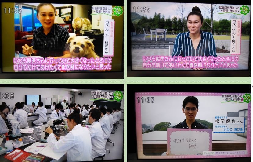 キャンバスめぐり 今治の岡山理科大学 獣医学部 19 11 18 徳ちゃん便り
