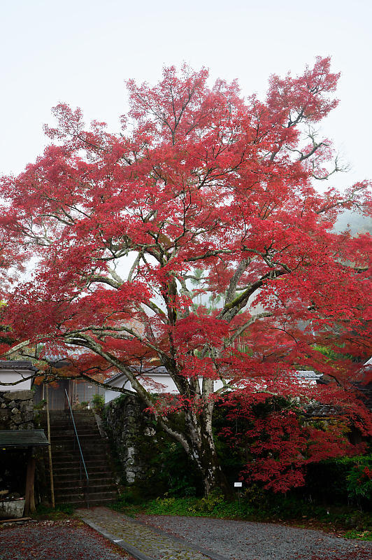 f0032011_19550083.jpg