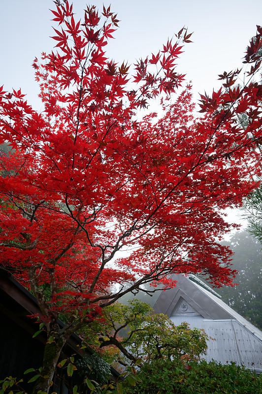 f0032011_19550134.jpg