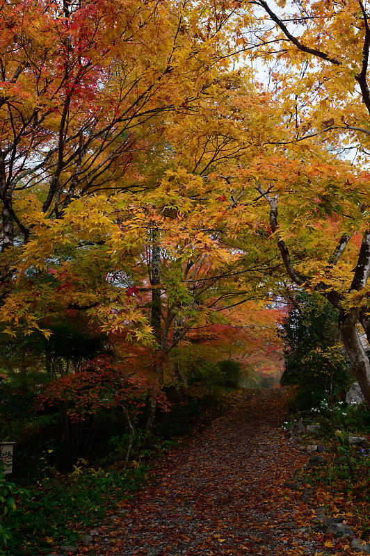 f0032011_20001313.jpg