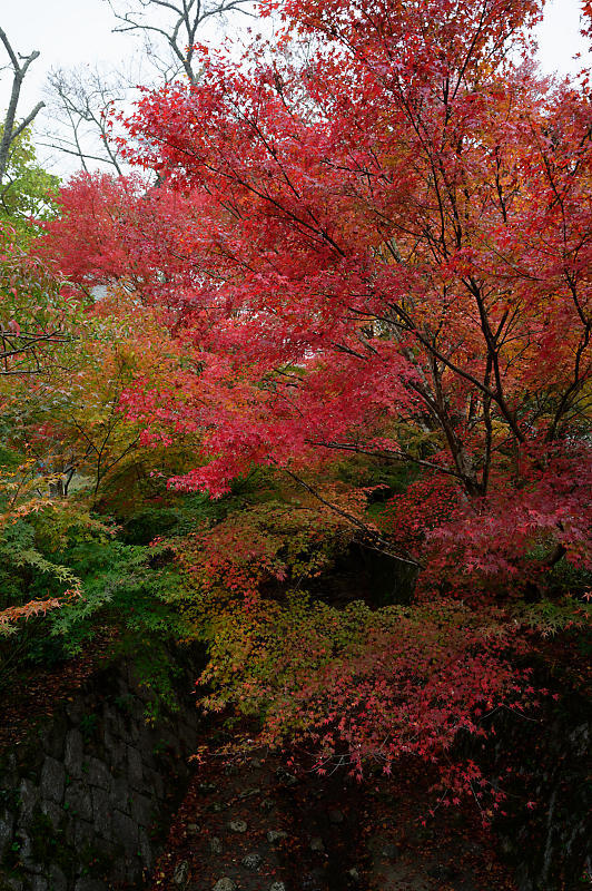f0032011_20001441.jpg