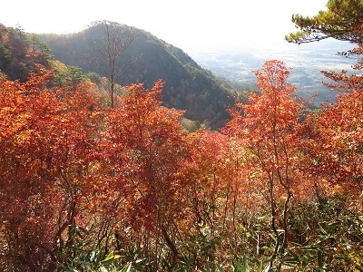 ニツ箭山と下界の紅葉_b0369813_06300138.jpg