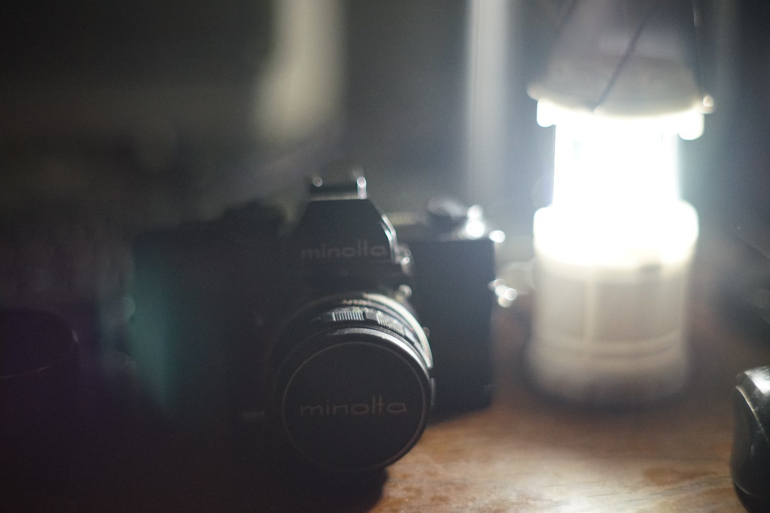 野生の Hexanon AR 57mmF1.4 と ミミちゃん_b0069128_13552809.jpg