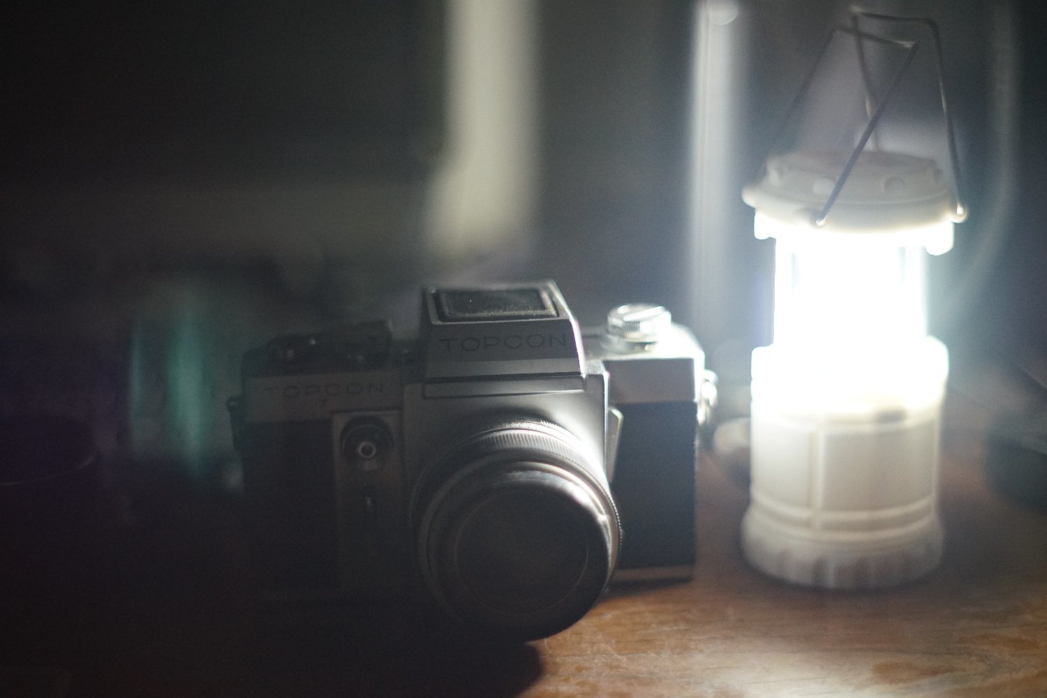 野生の Hexanon AR 57mmF1.4 と ミミちゃん_b0069128_13552961.jpg