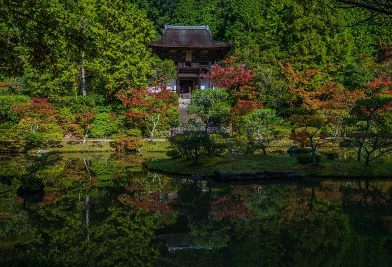 2019奈良紅葉~円成寺_e0363038_21333185.jpg