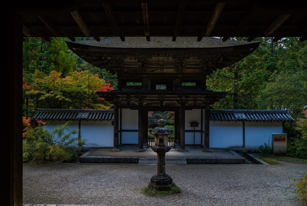 2019奈良紅葉~円成寺_e0363038_21335316.jpg