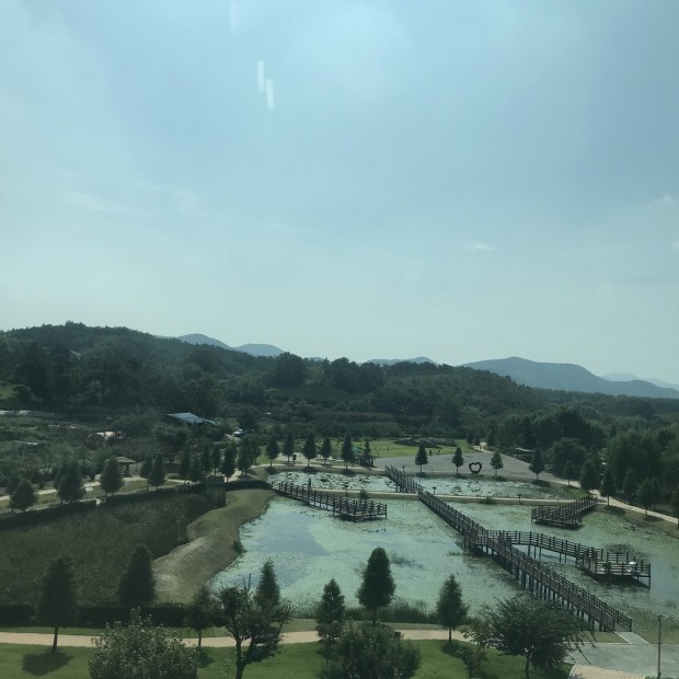 할많하않_d0160145_13574164.jpg