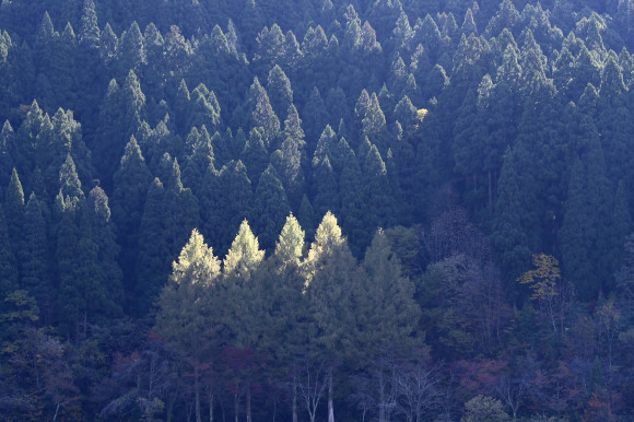 尾口ダム湖_c0093046_18451922.jpg