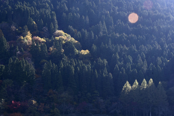尾口ダム湖_c0093046_18455219.jpg
