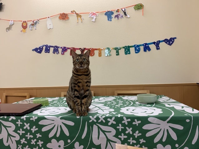 アリョーシャ王子3歳になりました~♪_c0006748_13425964.jpg