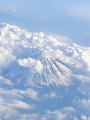 f0170352_10594615.jpg