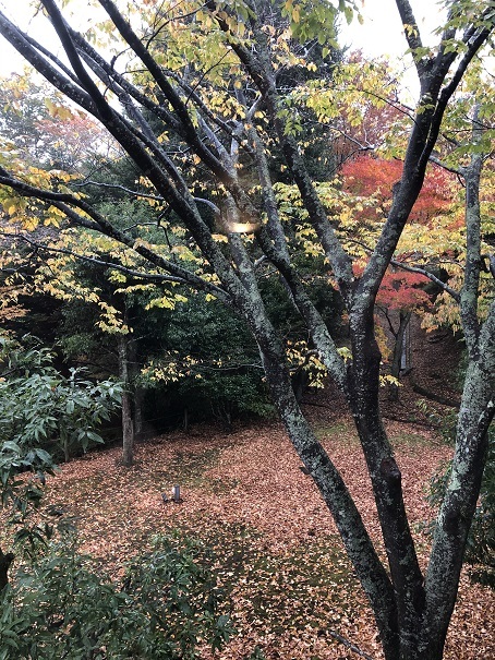 晩秋の箱根旅行_b0060363_20174881.jpeg