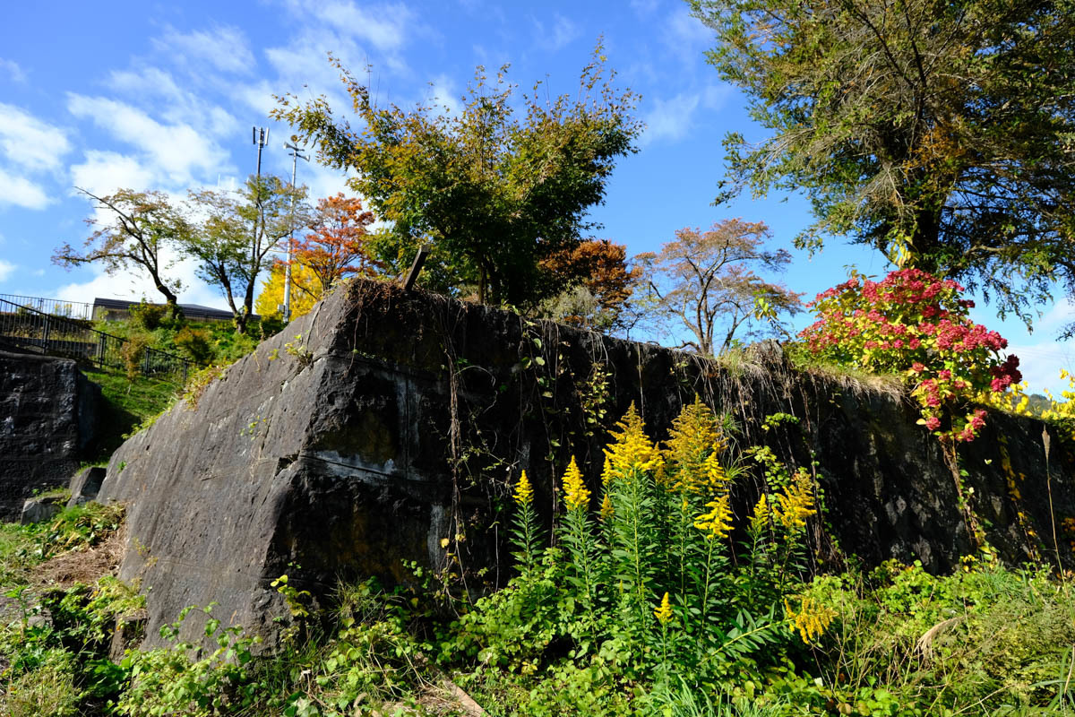 東北ひとまたぎ~4_c0084666_17292390.jpg
