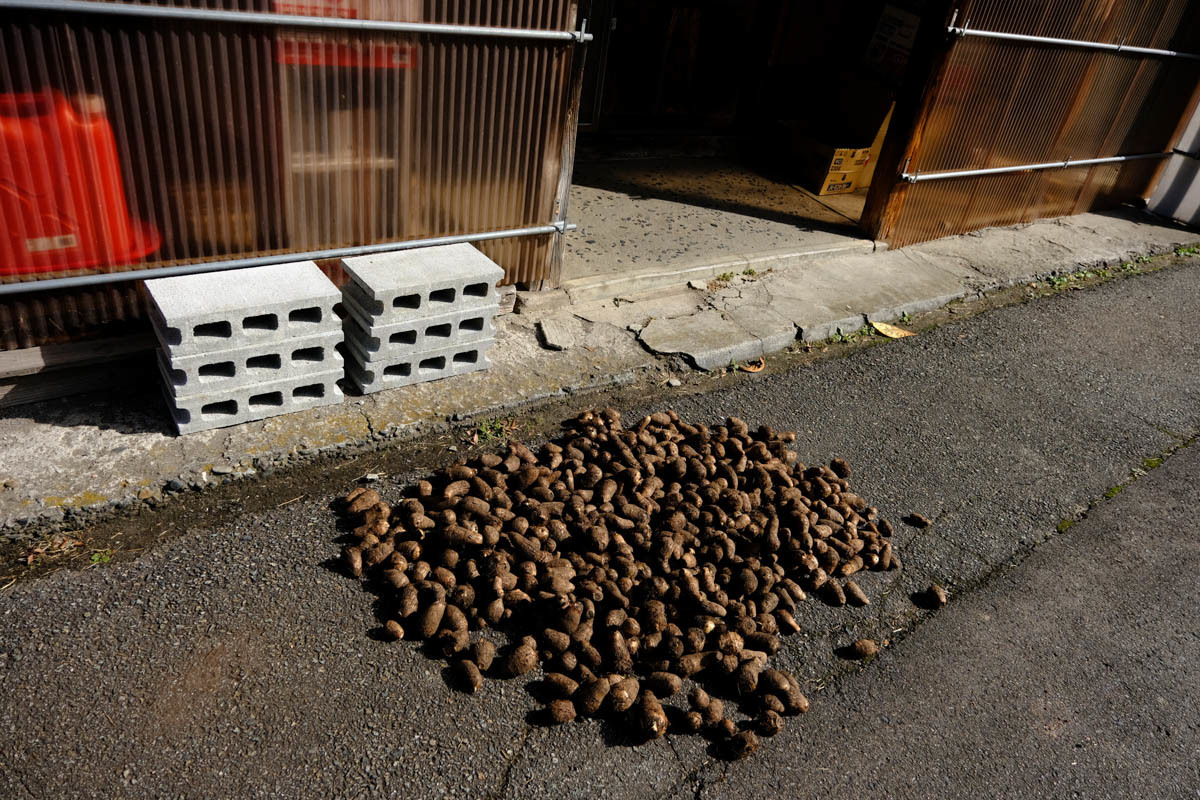 東北ひとまたぎ~5_c0084666_17324010.jpg