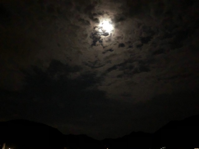 地震で!?_f0164669_12570194.jpeg