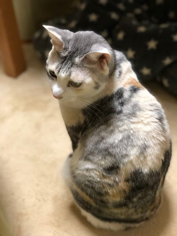 パッ!としてニョッと出る_e0355177_12455837.jpg