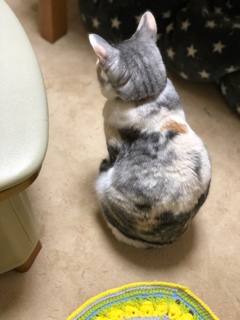 パッ!としてニョッと出る_e0355177_12455909.jpg