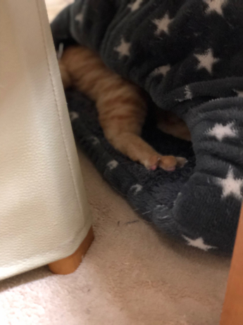 パッ!としてニョッと出る_e0355177_12490266.jpg