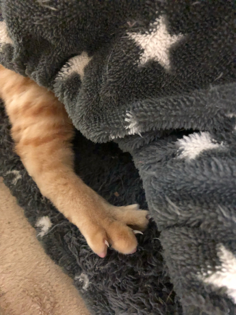 パッ!としてニョッと出る_e0355177_13205827.jpg