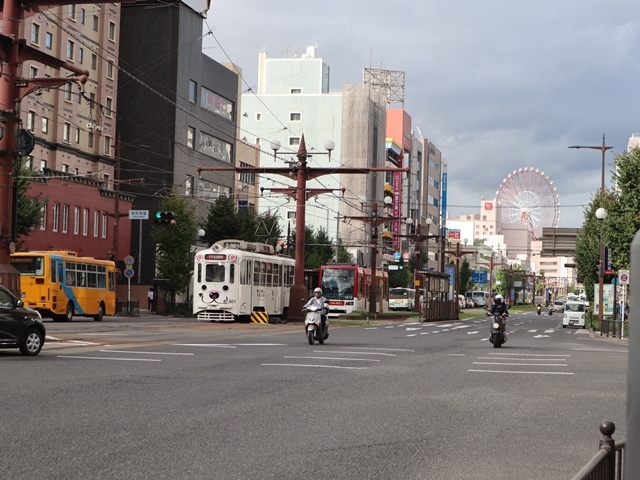 藤田八束の鉄道写真@鹿児島市内を楽し気に走る人気の路面電車たち、南国の路面電車は楽しいラッピング・・・ガーデニングも楽しい_d0181492_23180633.jpg