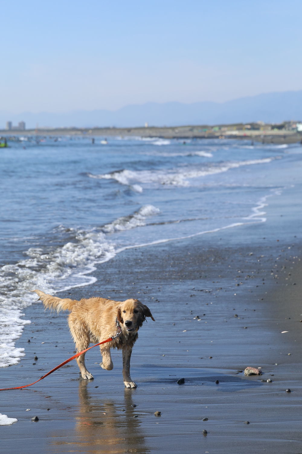 海デビュー♪_b0275998_10411724.jpg