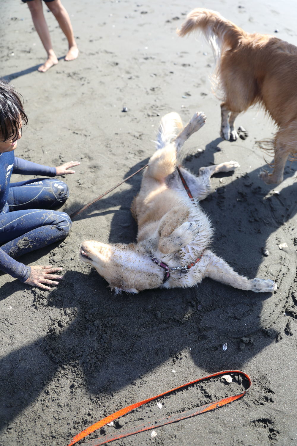 海デビュー♪_b0275998_10445646.jpg