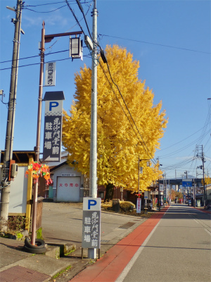 残念な景観!_c0336902_19023032.jpg