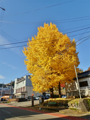 残念な景観!_c0336902_19032314.jpg