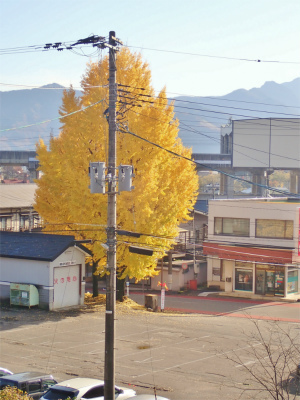 残念な景観!_c0336902_19033037.jpg