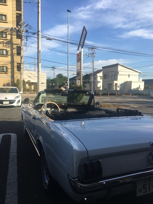 b0120103_08302120.jpeg