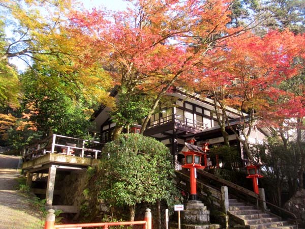 紅葉が盛り 鞍馬_e0048413_19525172.jpg
