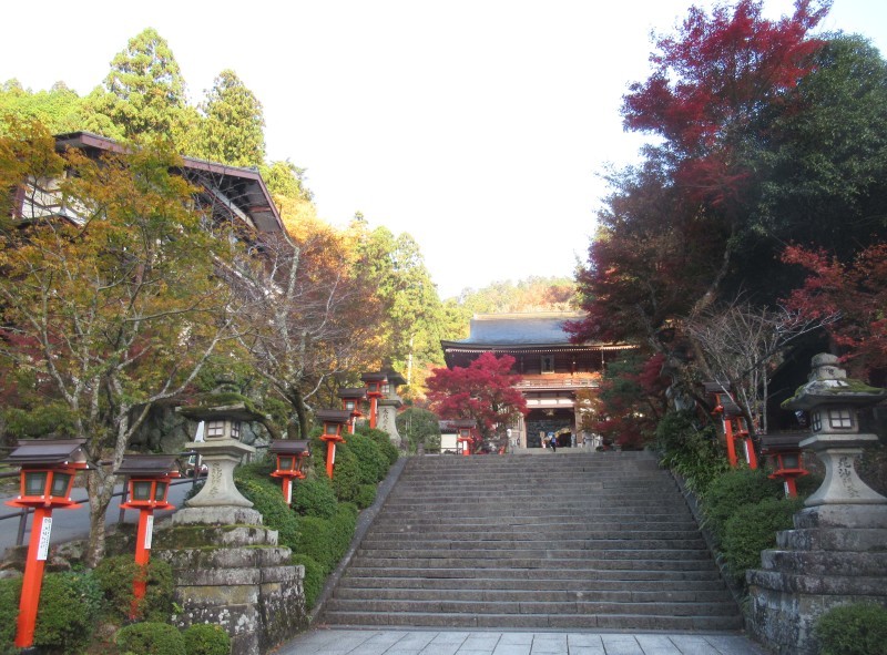 紅葉が盛り 鞍馬_e0048413_19531821.jpg