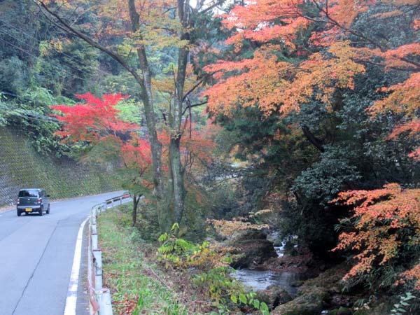 紅葉が盛り 鞍馬_e0048413_19535266.jpg