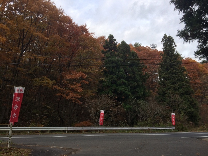 あ~きのゆ~う~ひ~にぃ~♪_e0036217_22115055.jpg