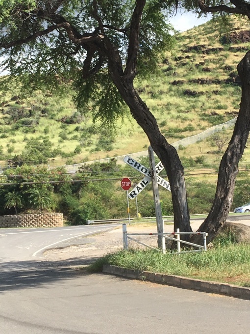 d0010742_11140706.jpeg